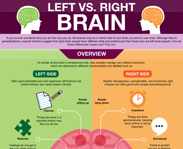 Left vs. Right Brain